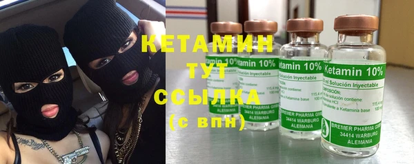 крисы Бронницы
