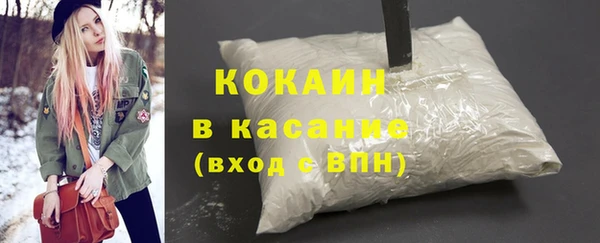 индика Бородино