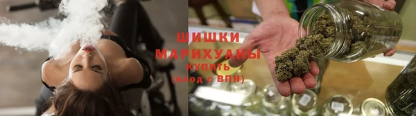 крисы Бронницы