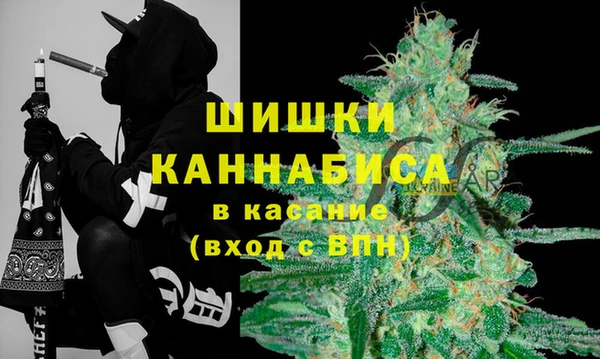мдпв Верхний Тагил