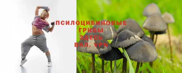 альфа пвп Верхнеуральск
