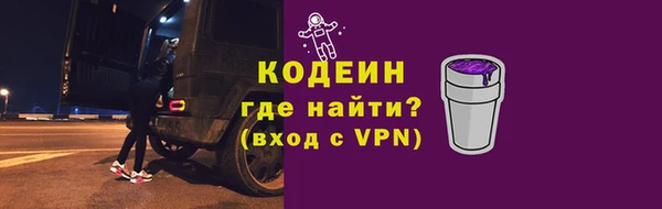 индика Бородино