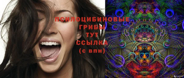 крисы Бронницы
