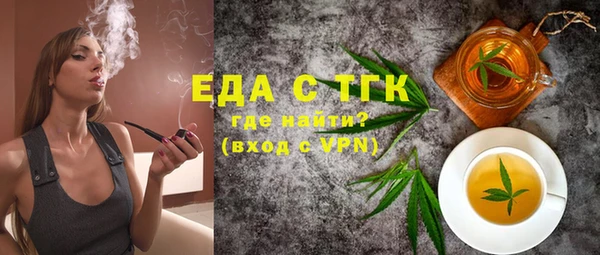 индика Бородино