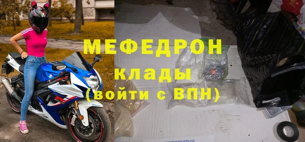 индика Бородино