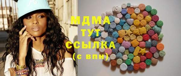 индика Бородино