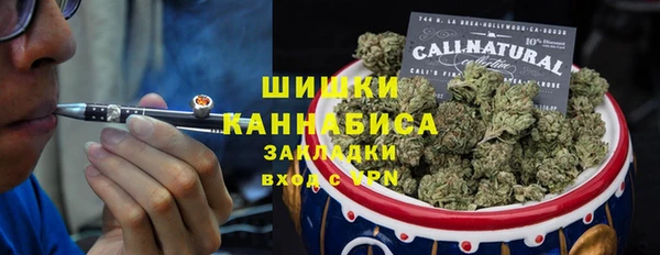 крисы Бронницы
