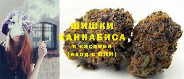 крисы Бронницы
