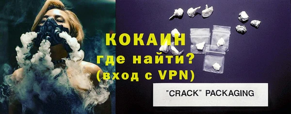 индика Бородино