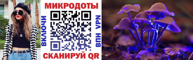 Псилоцибиновые грибы Psilocybe  MEGA как зайти  Каменск-Уральский 